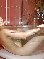 asian lesbian bondage