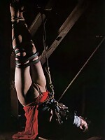 asian teen amateur blowjob